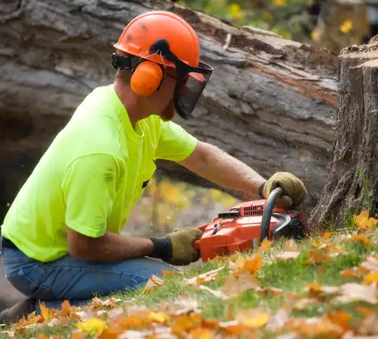 tree services Brusly